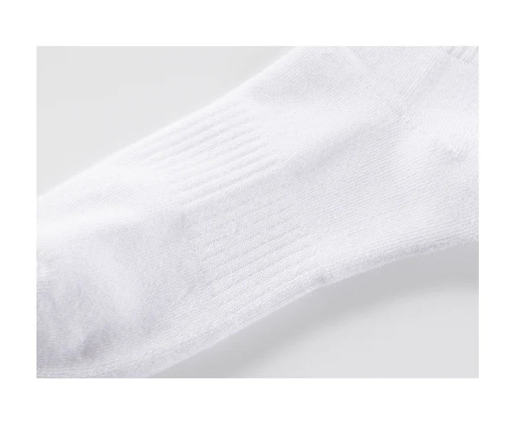 Product Image SC (Fallback)
