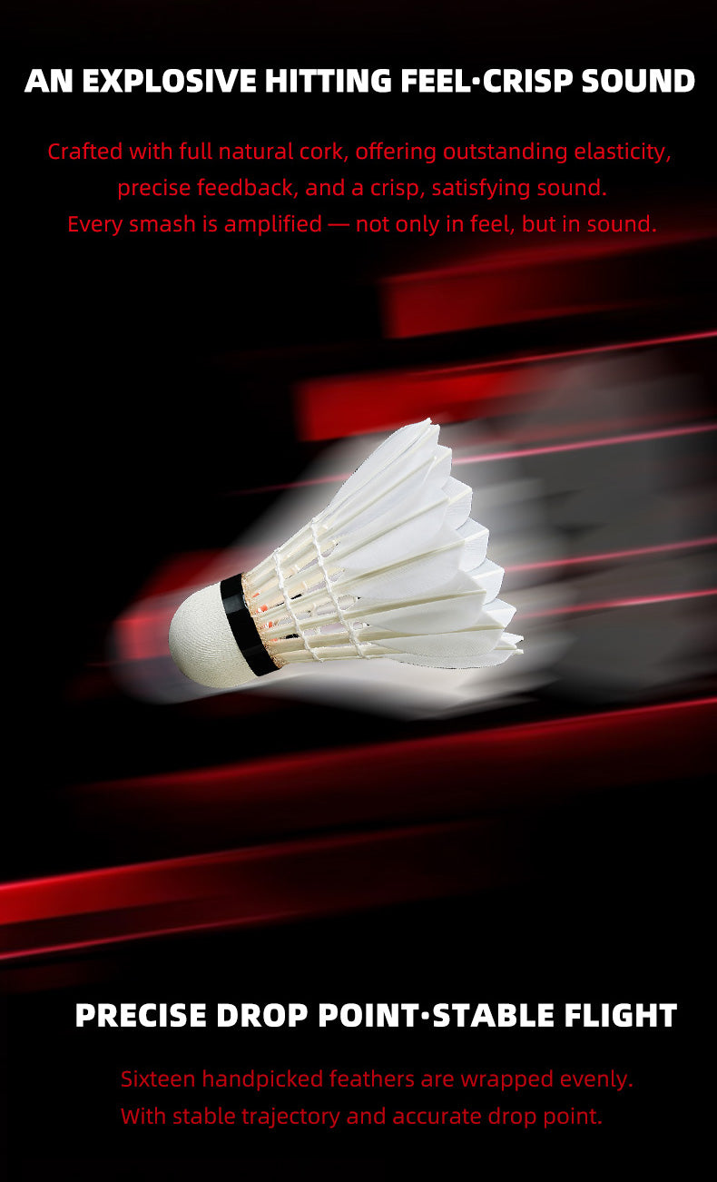 Product Image EN