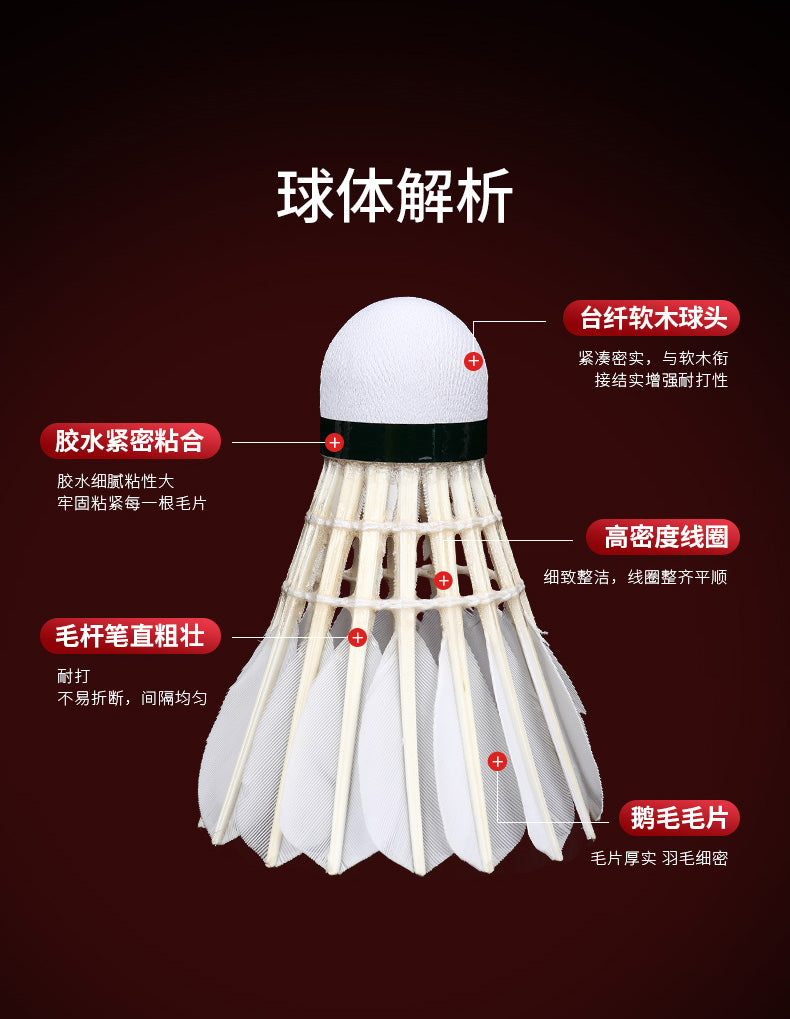 Product Image SC (Fallback)