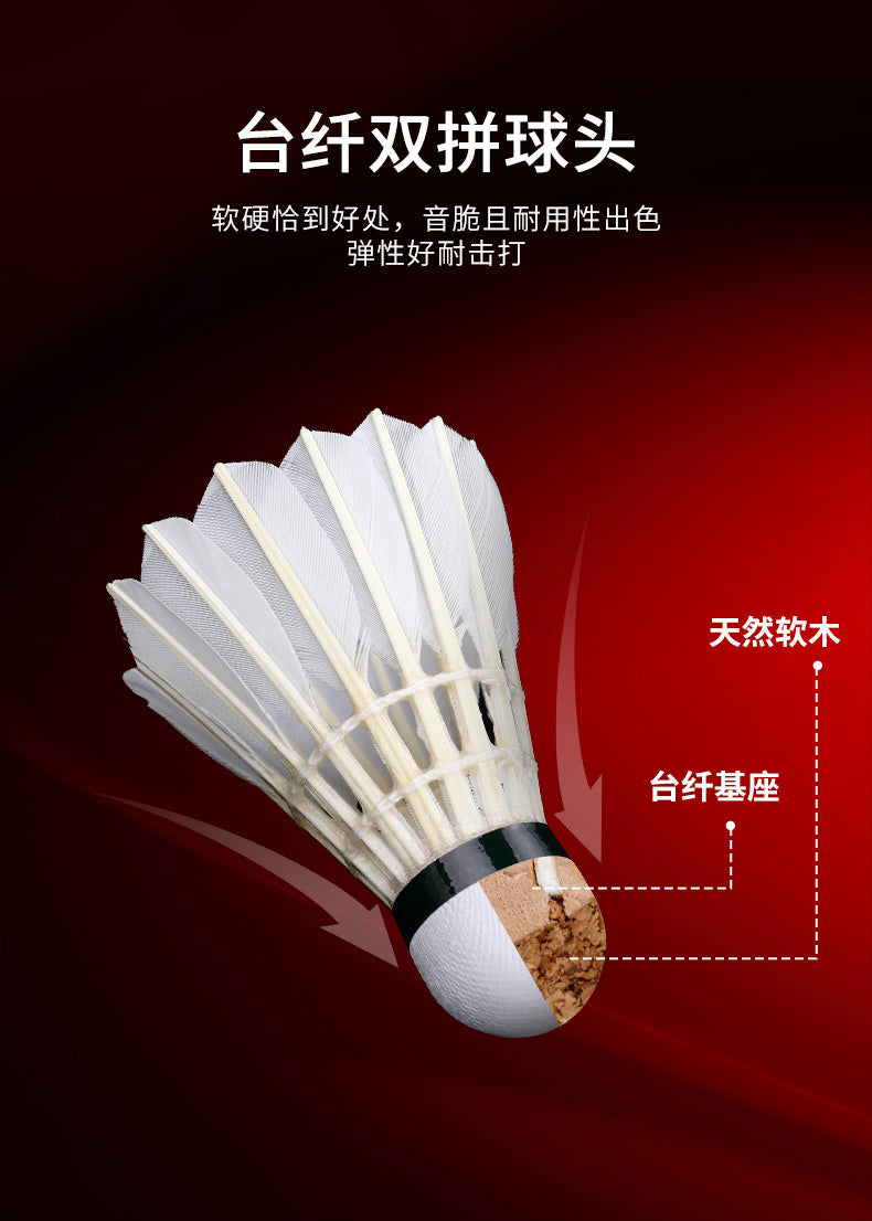Product Image SC (Fallback)