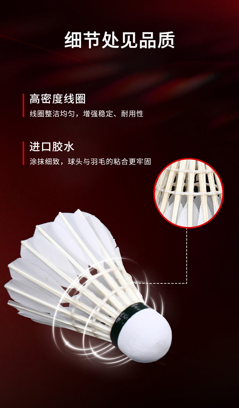 Product Image SC (Fallback)