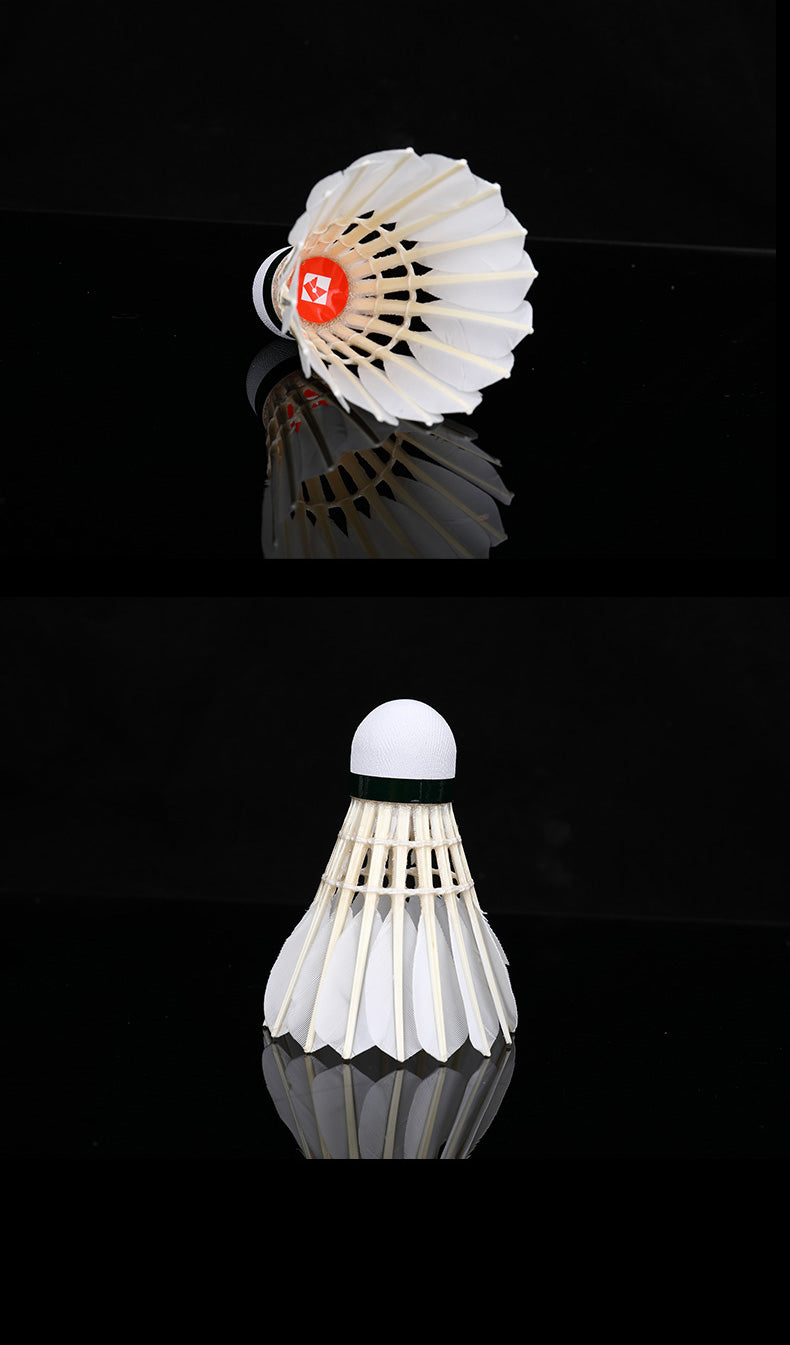 Product Image SC (Fallback)